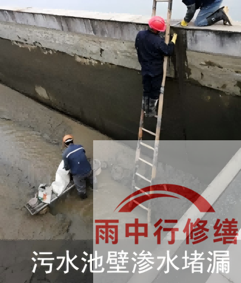 常德2026年防水龙头半月两次涨价，行业格局重塑信号